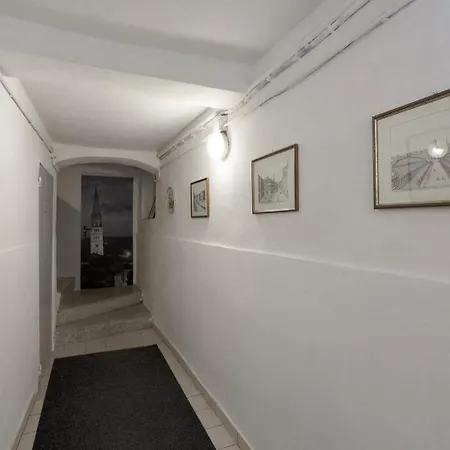 Rua Freda Modena